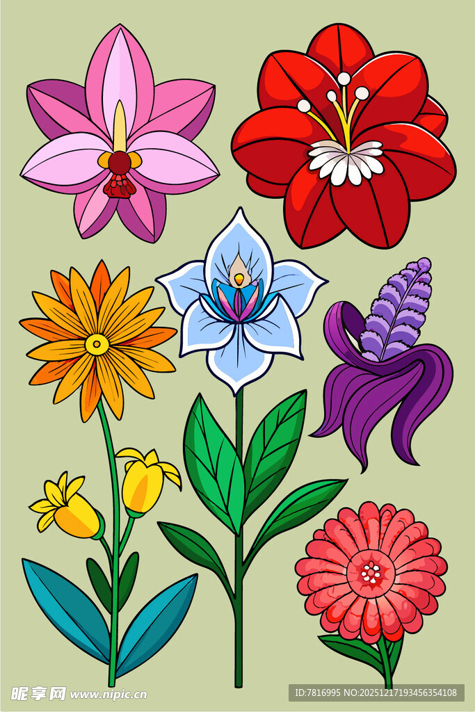 多彩手绘花卉集合