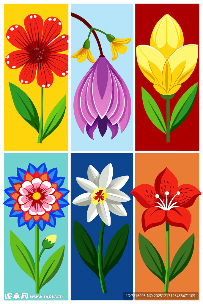 多彩花卉插画图案