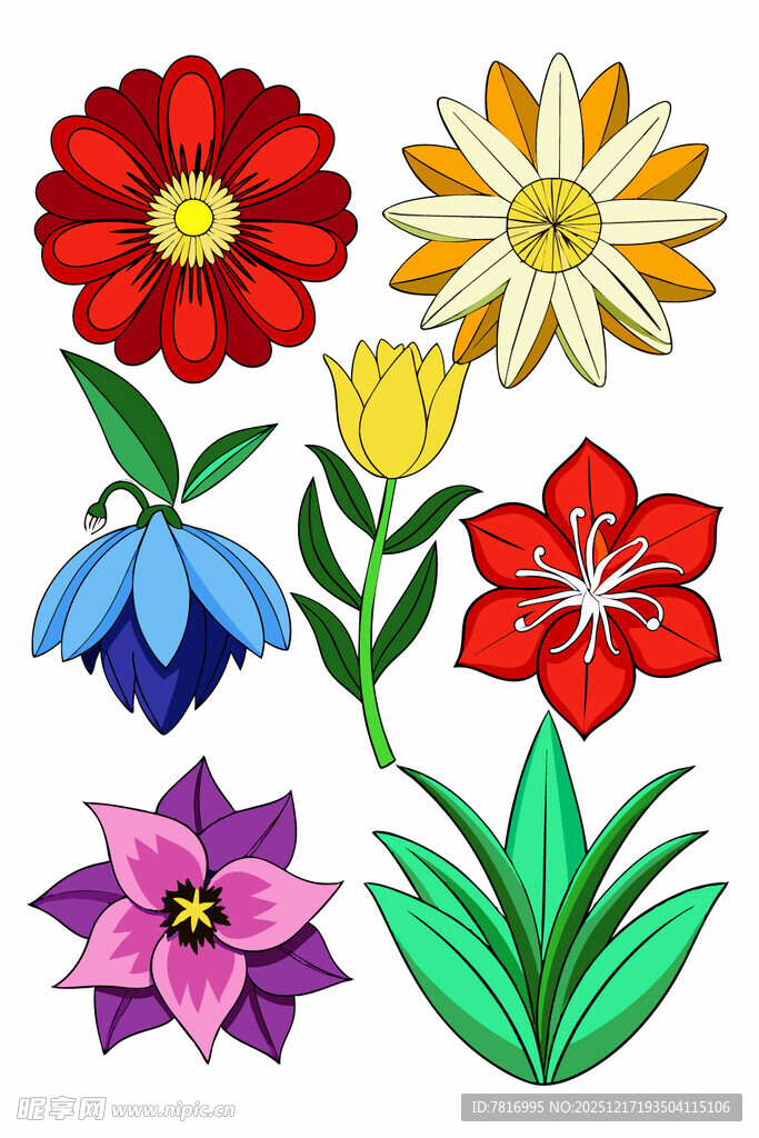 多彩手绘花卉图案集合