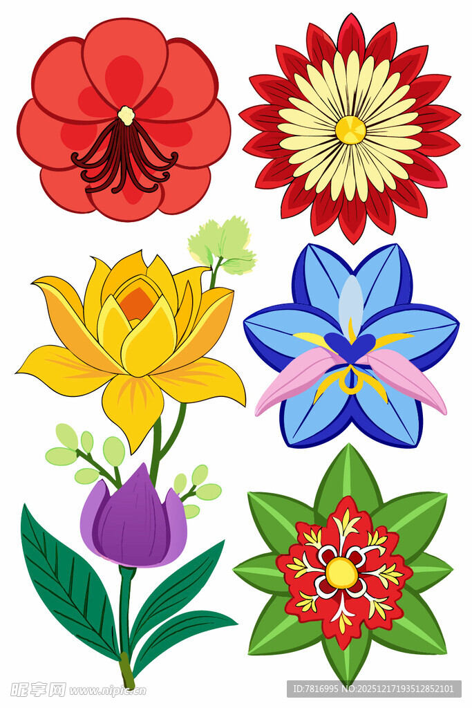 多彩手绘花卉图案集合