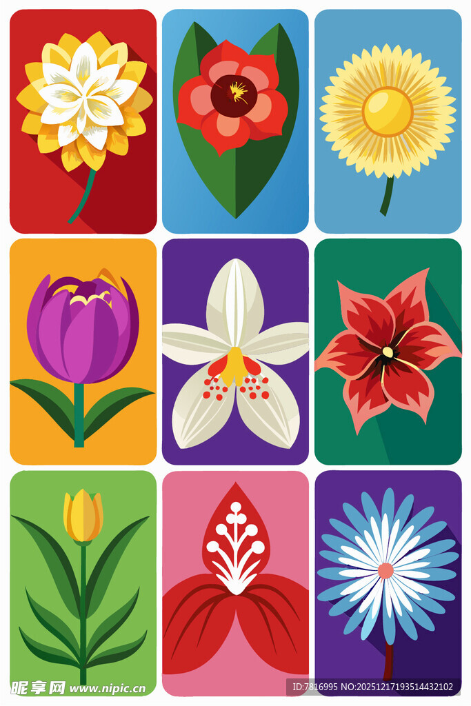 多彩花卉图案集合