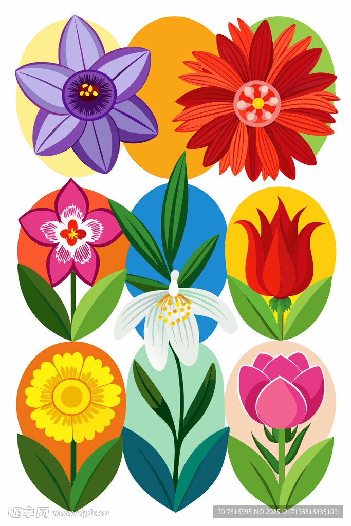 多彩花卉图案集合