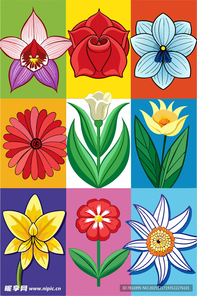 多彩花卉图案集合