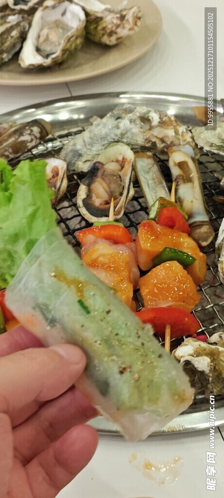 手持美味蔬菜春卷