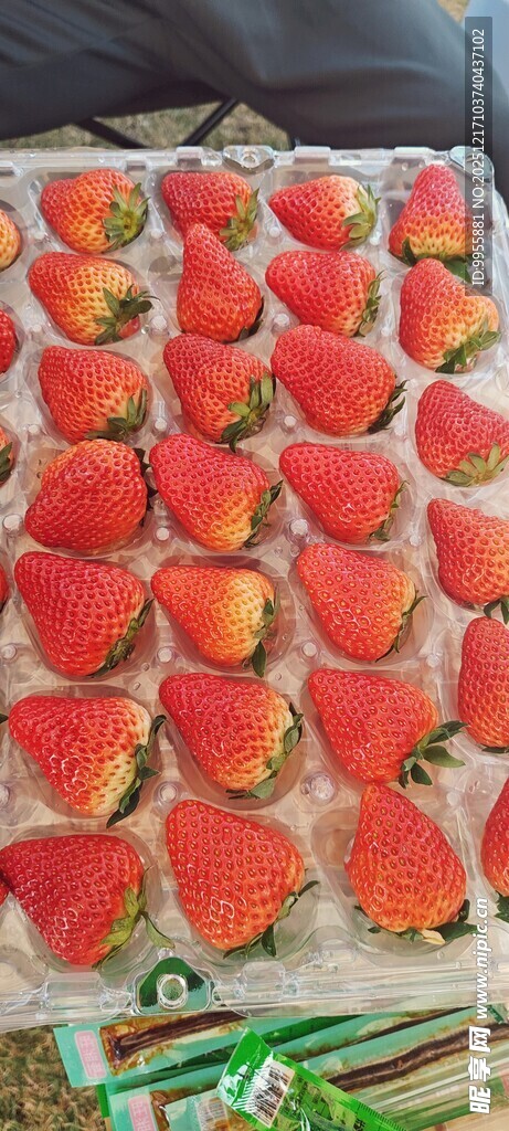 整齐排列的新鲜草莓