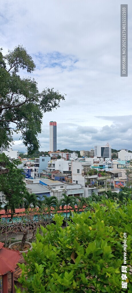 越南芽庄旅游城市远景与绿植景观