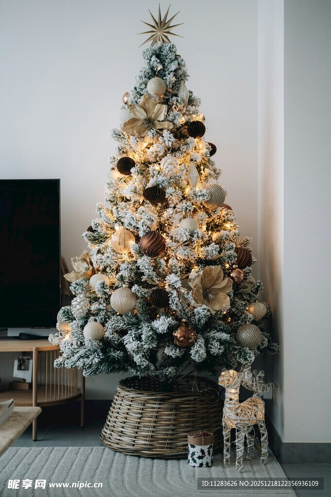 精美装饰的圣诞树