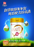星恩辉山自采牧场牛奶粉海报