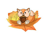 秋天松鼠插画