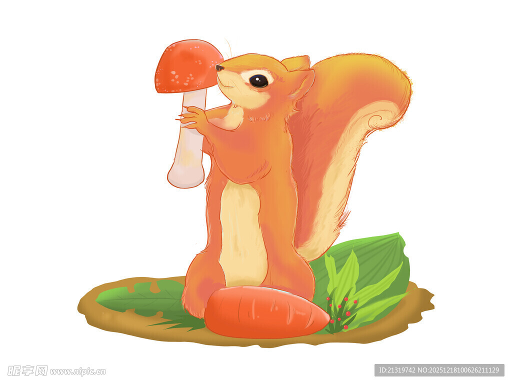 松鼠素材