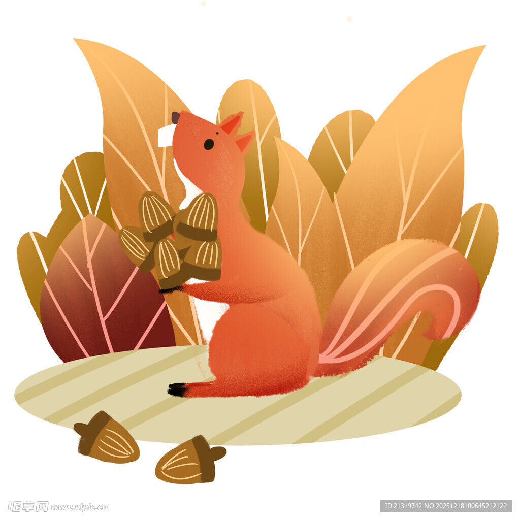 松鼠素材