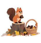 松鼠素材