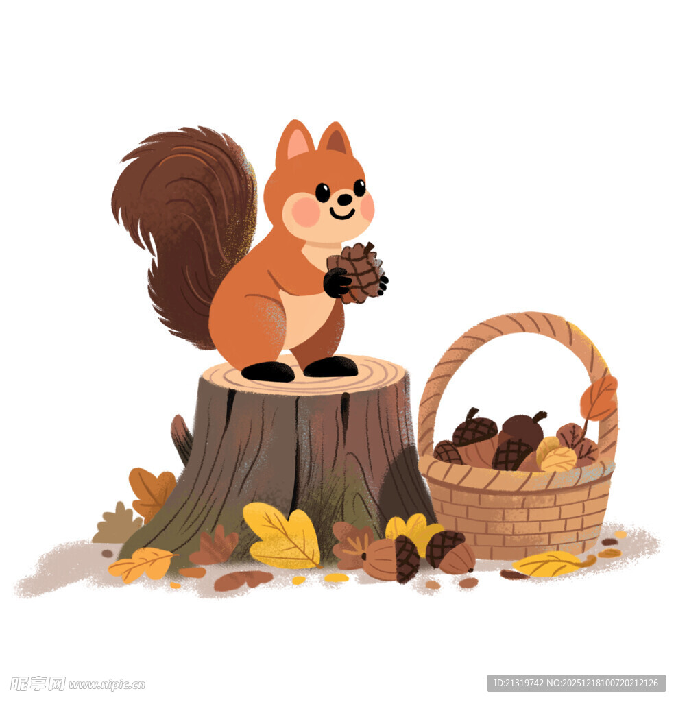 松鼠素材
