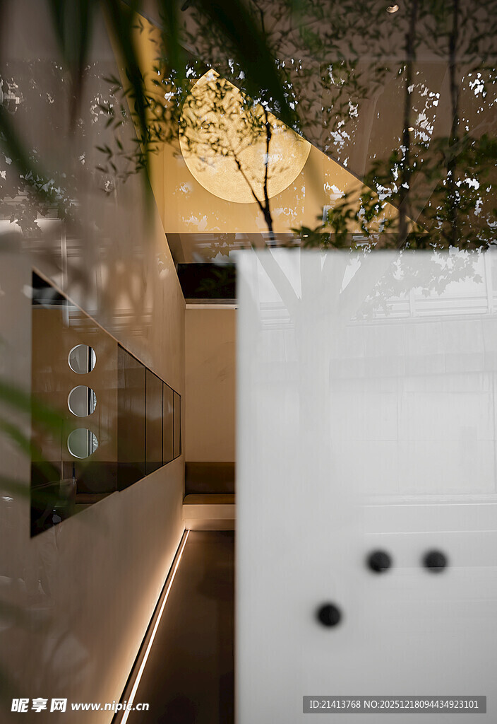 现代室内绿植装饰一角