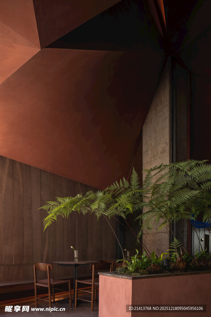 室内绿植装饰的雅致空间