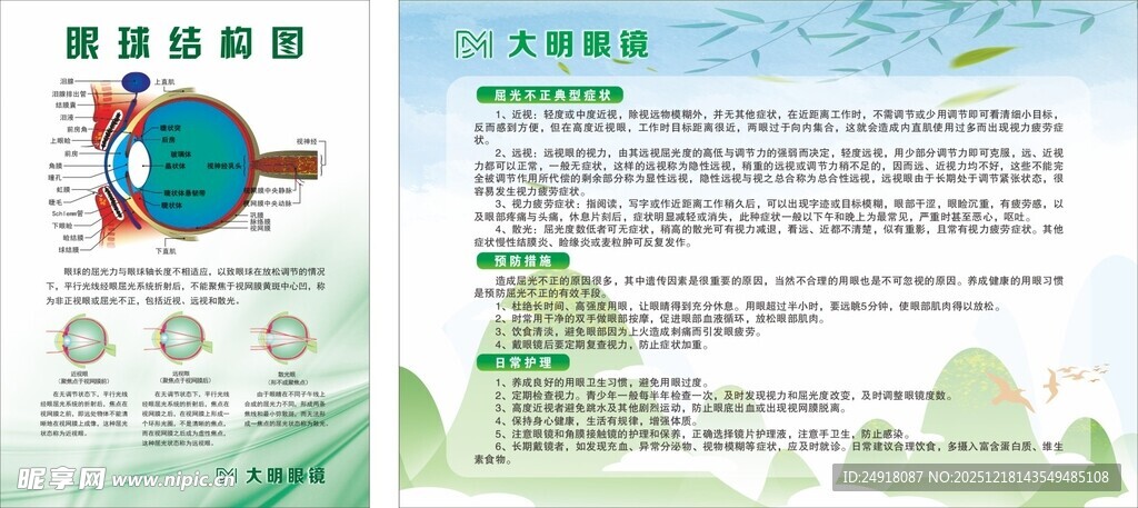 眼球结构图 眼睛预防 眼科制度