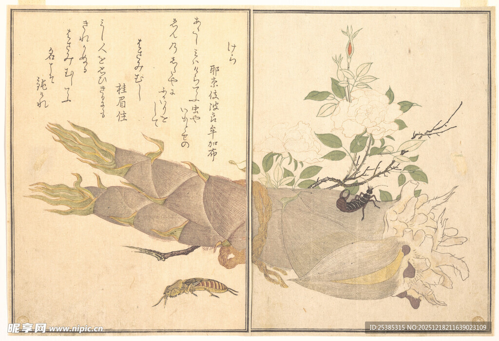 古画中的植物与昆虫景象