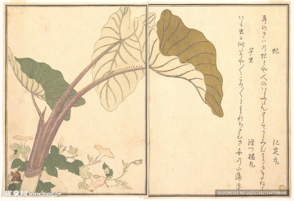 古画中的荷叶与植物景象