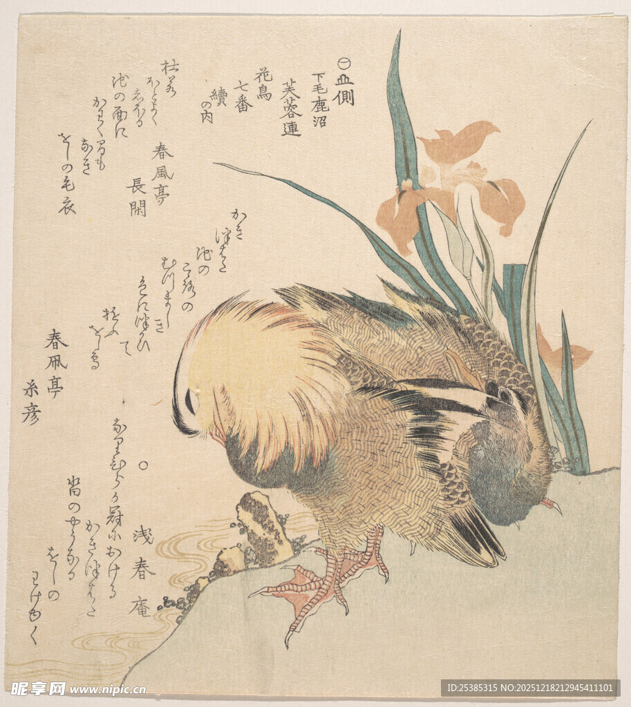 国画中栖息的鸡与花卉