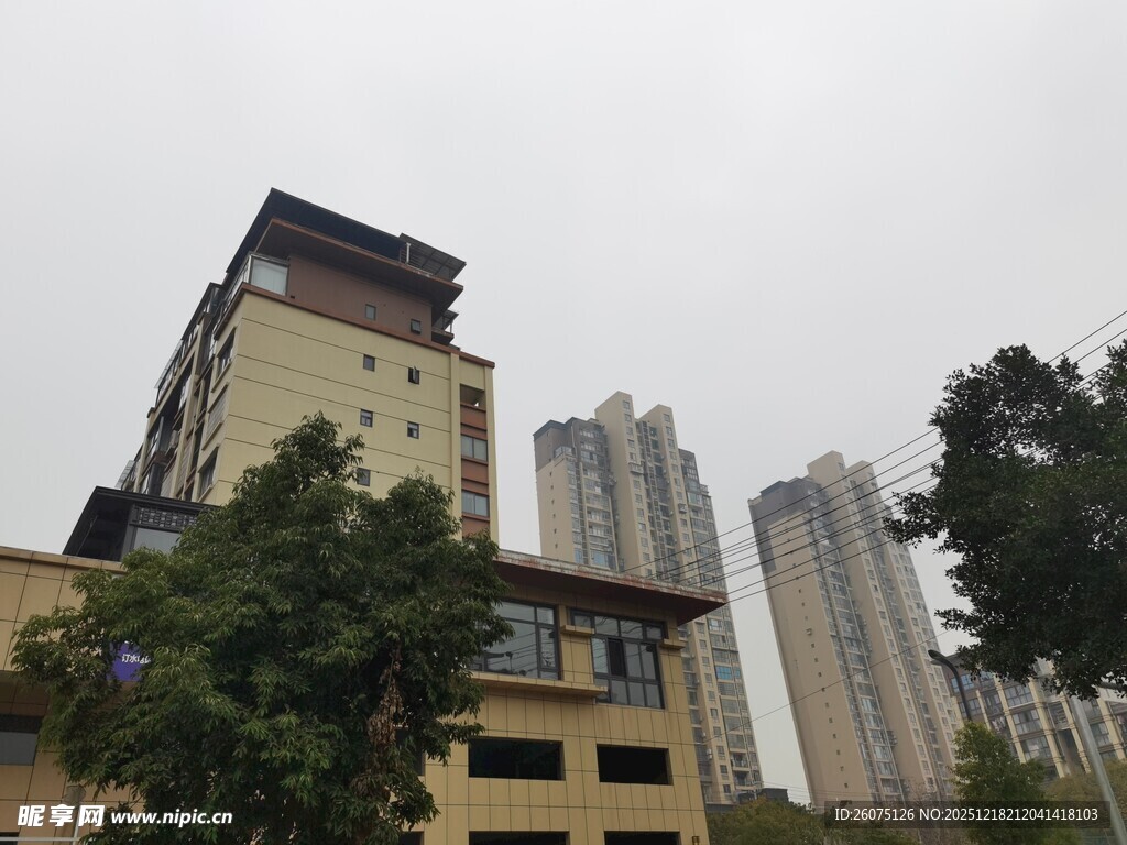 城市中错落的建筑与树木