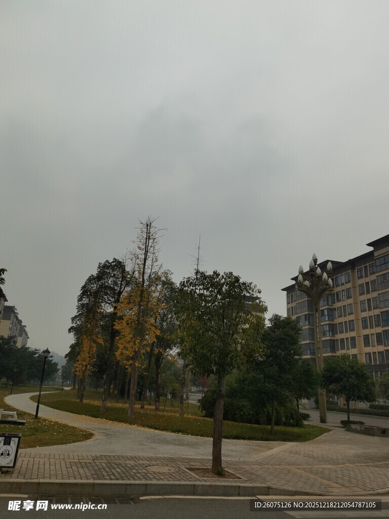 城市街道旁的建筑与树木