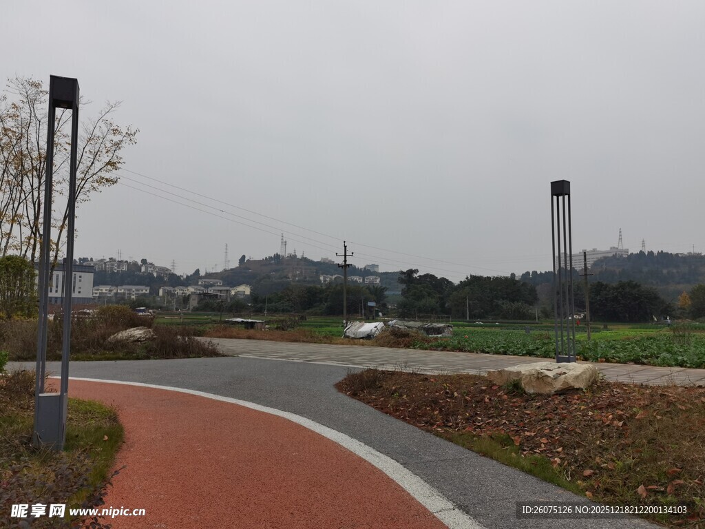 城市中的蜿蜒彩色步道