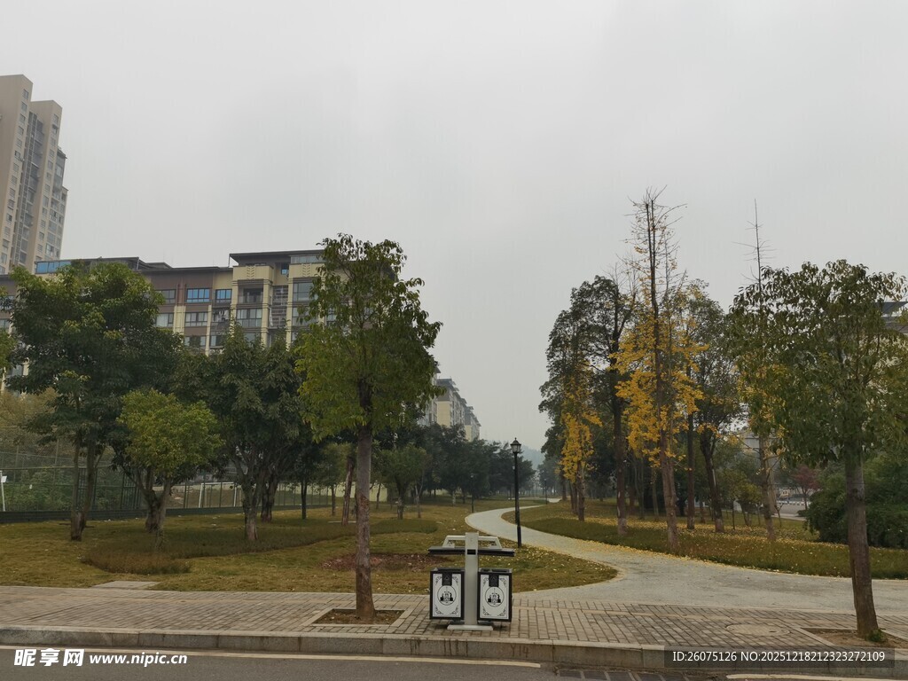 城市公园中的休闲场景