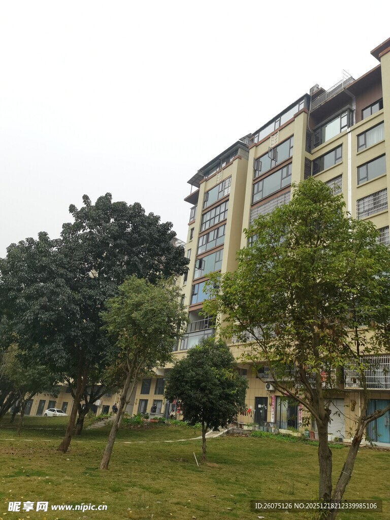 小区绿化景观与住宅楼