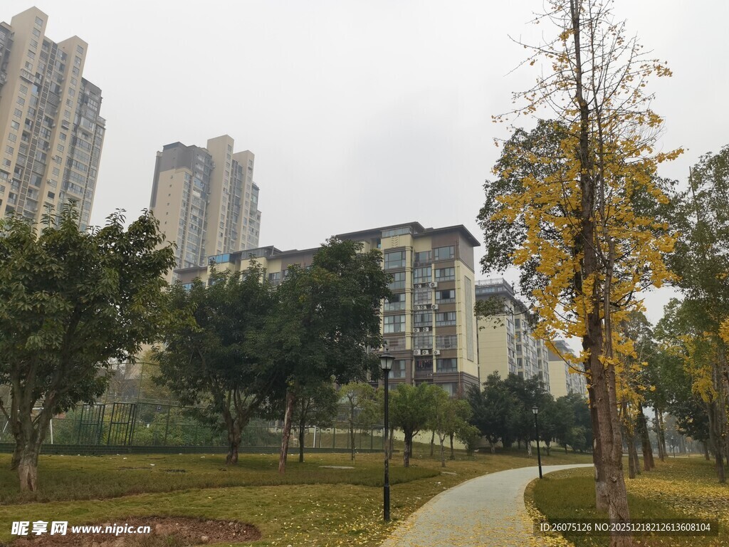 城市公园中的宁静小路