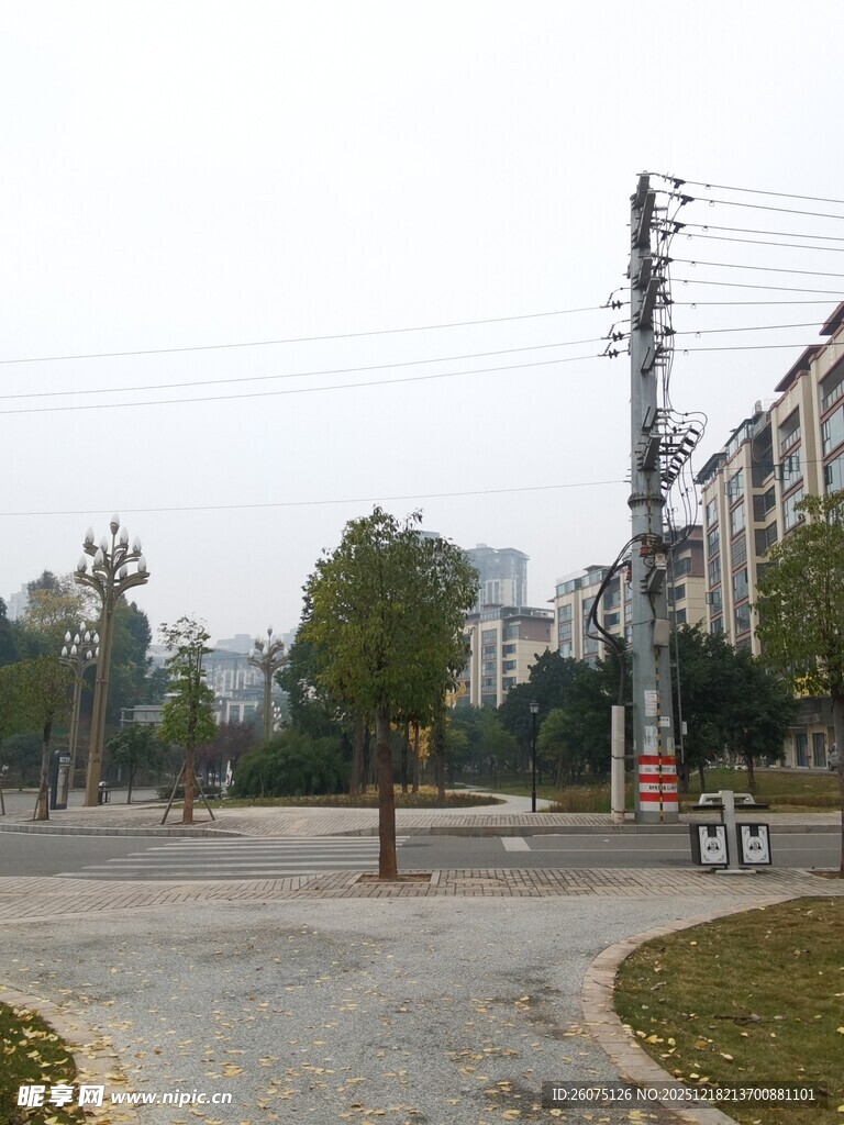 城市街道旁的户外场景