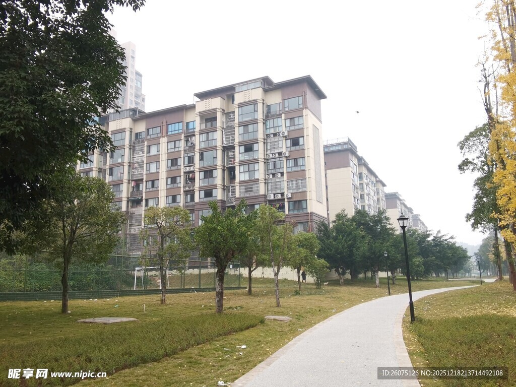 小区旁的林荫小径