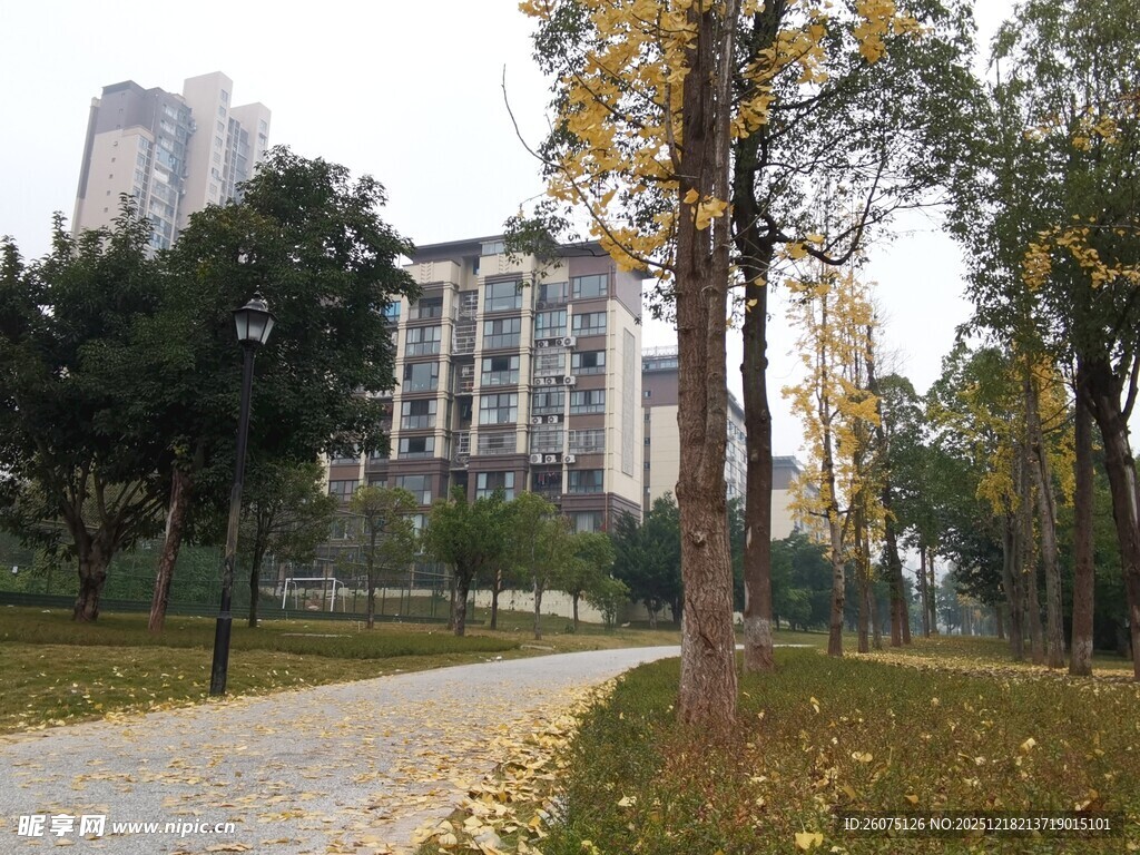 秋日公园小路与林立高楼