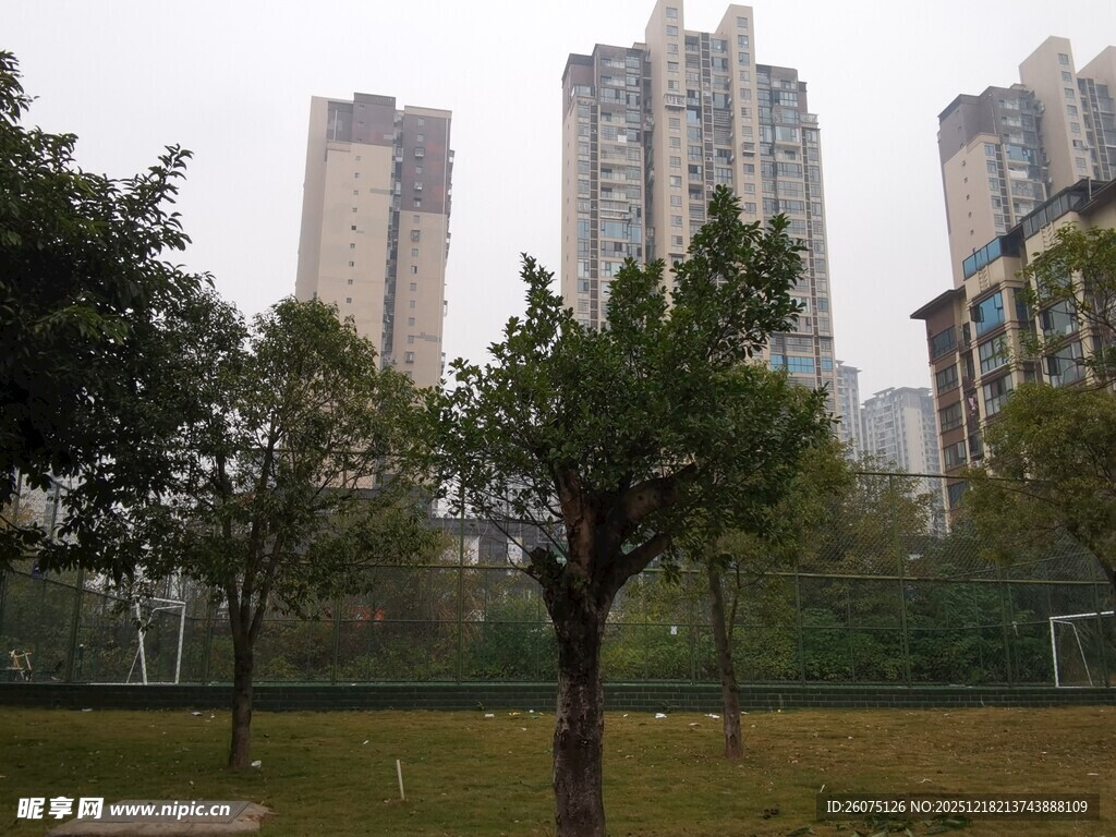 城市公园与高楼景观