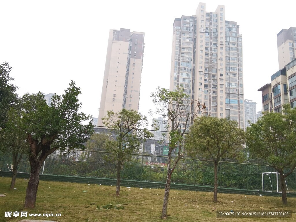 城市公园旁的高楼景观