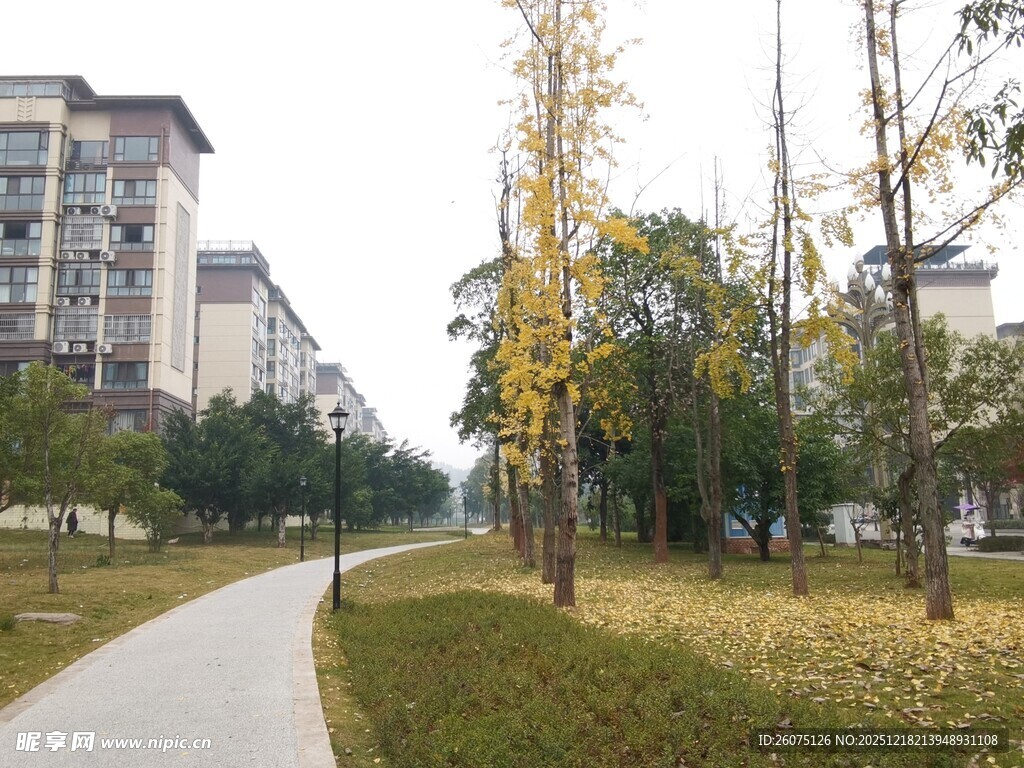 小区旁的林荫步道景观