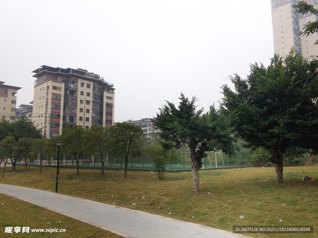 小区旁的绿化景观