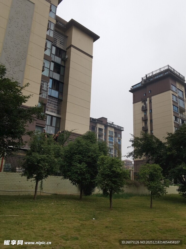 小区住宅楼与绿化景观