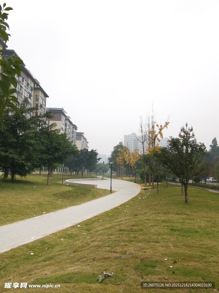 公园中的蜿蜒小径