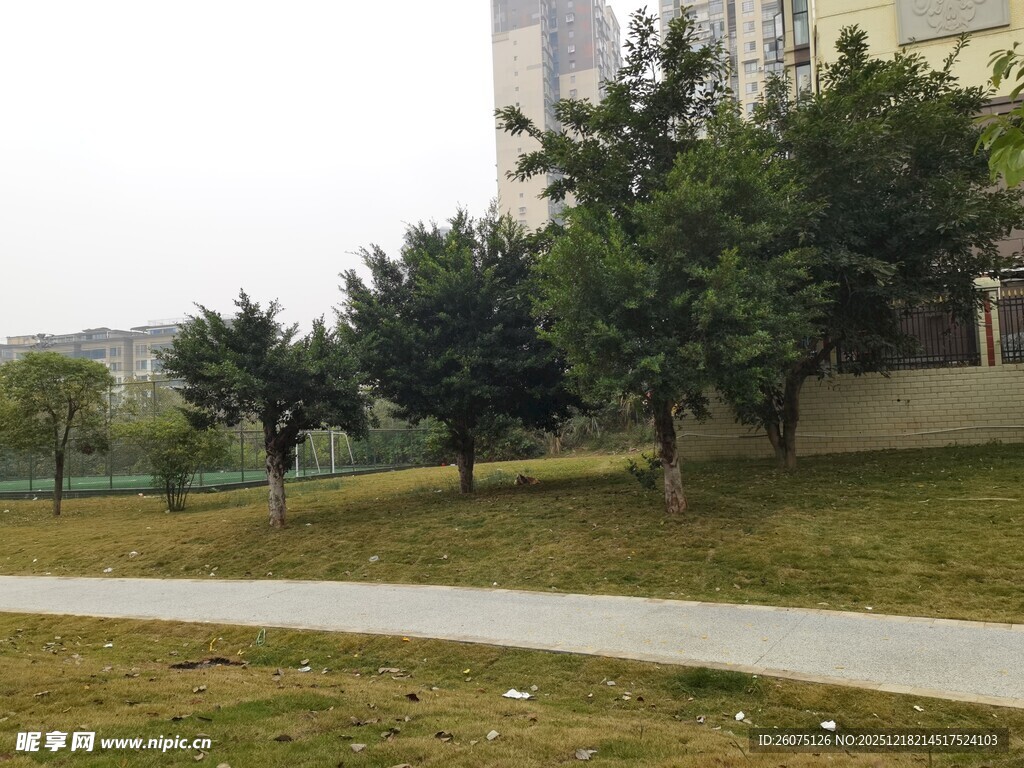 城市公园中的绿树小径