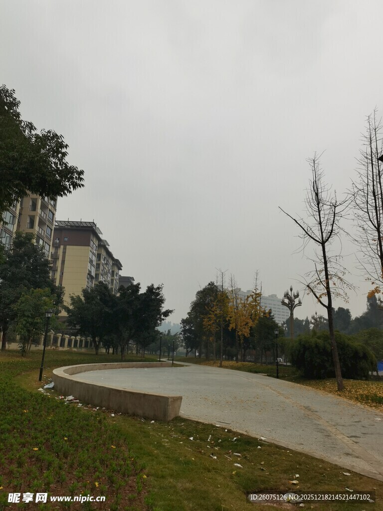 城市公园中的开阔休闲场景