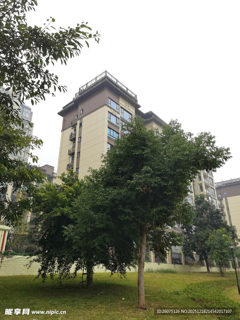 小区住宅旁的绿树景观