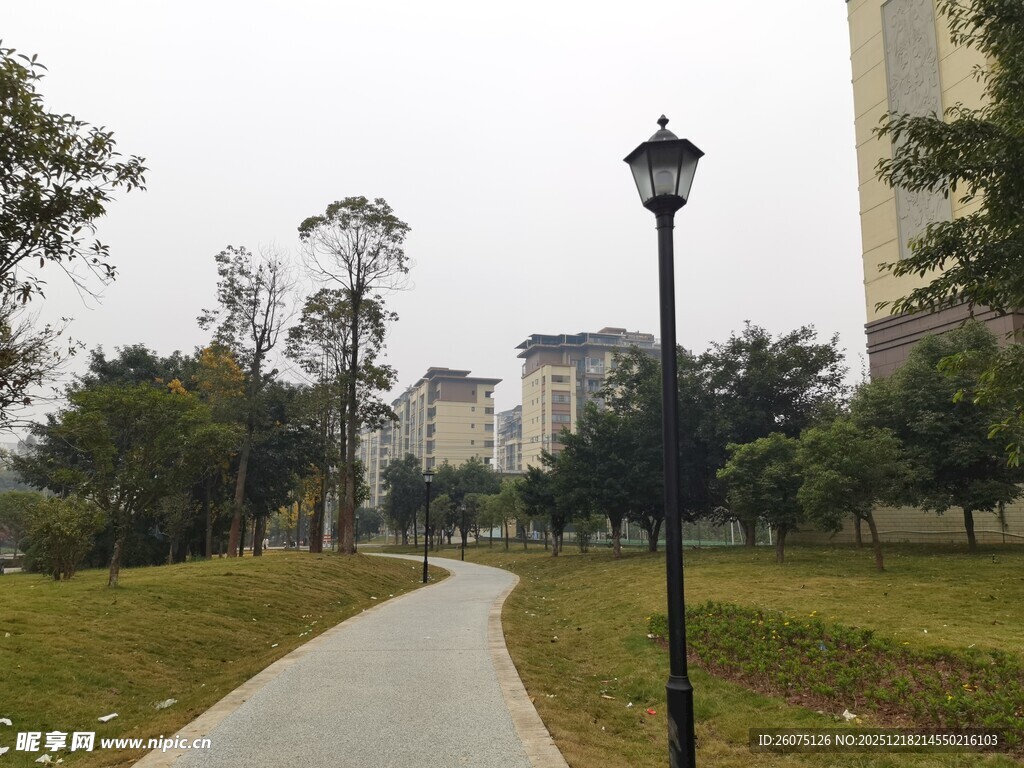 城市公园中的幽静小路