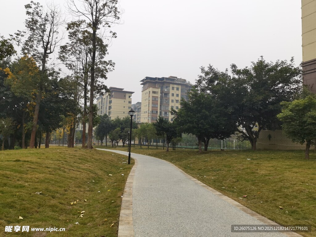 公园中的幽静小路