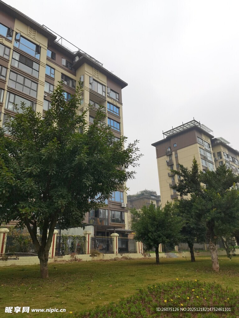 小区绿化景观与住宅楼