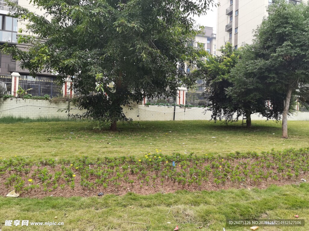 小区内绿意盎然的草地