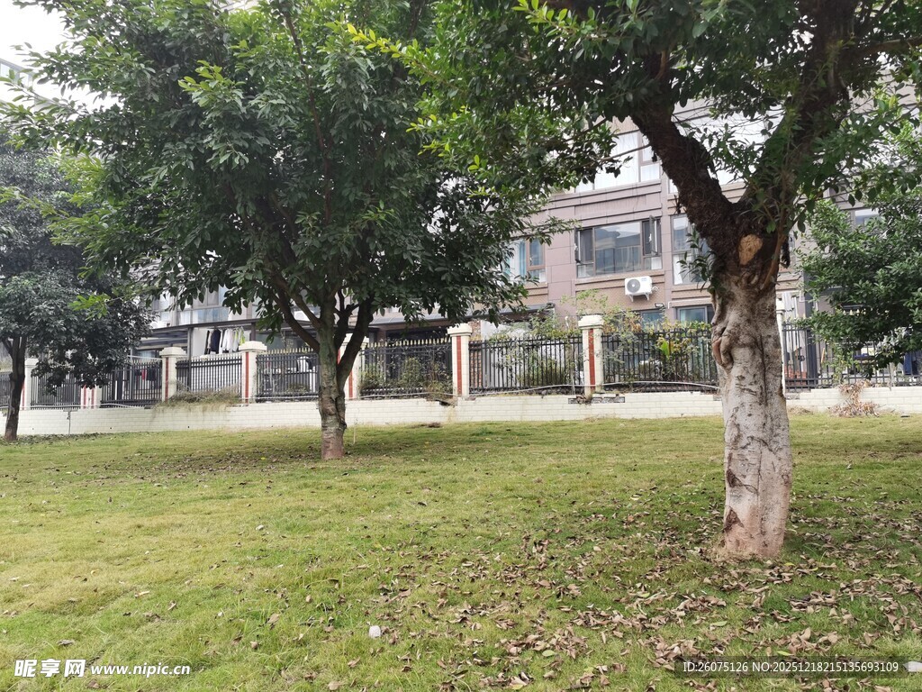 小区内绿意盎然的树木草地