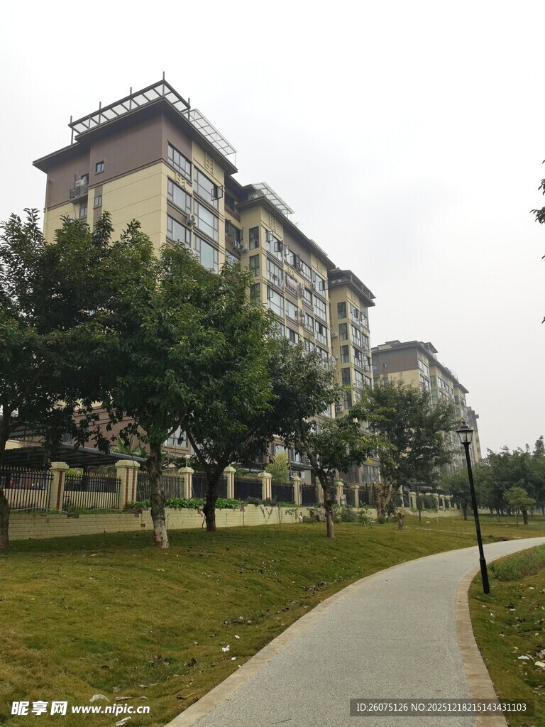 小区内的绿化小径与楼房