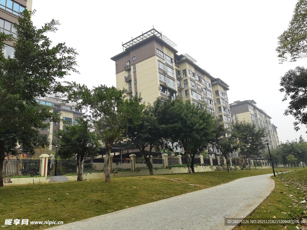 小区内的林荫步道景观