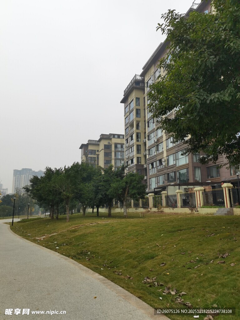 小区旁的林荫步道