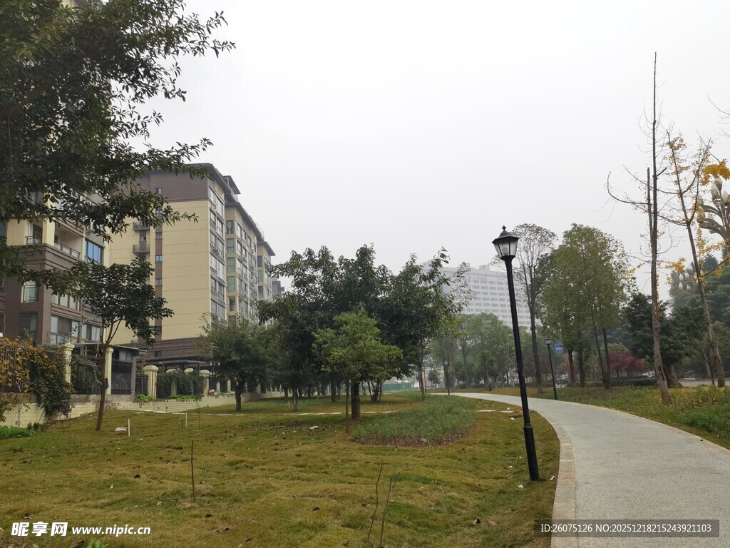 小区内的林荫小道景观